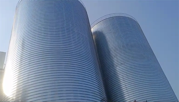 新兴2座混凝土高架卷板仓